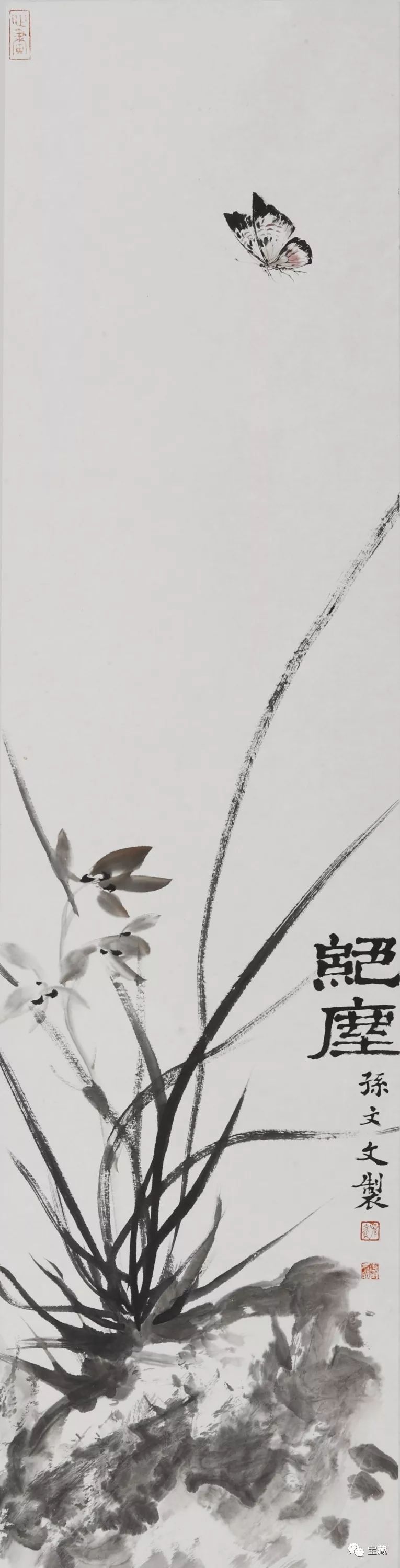 专访孙文文随心随性一步一个脚印