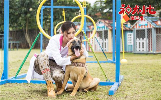 神犬小七3开播王祉萱反差出演温婉女兽医