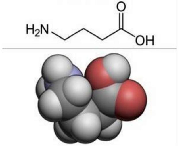 世界最高水准的γ氨基丁酸即将投放市场这款农业黑科技到底是啥