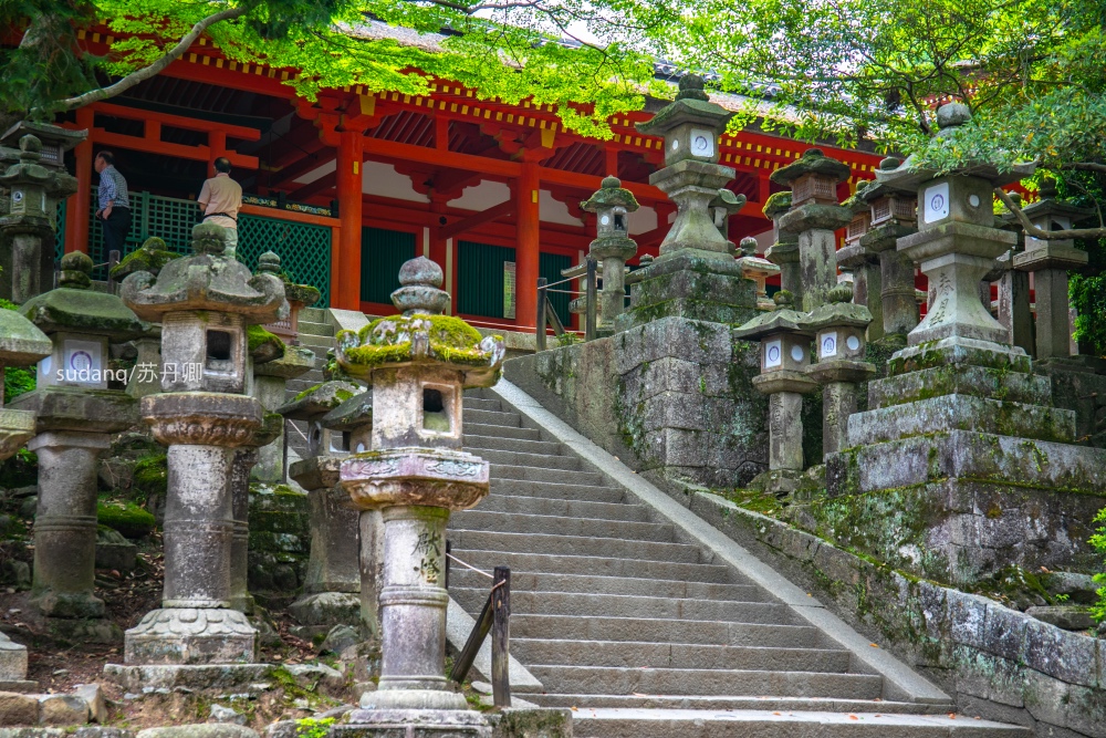 日本之旅,一定不能错过的世界遗产:春日大社,树深时见鹿 日本之旅,一定不能错过的世界遗产:春日大社,树深时见鹿