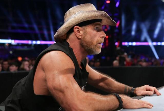 而肖恩·迈克尔斯(shawn michaels)最终也没能免俗.