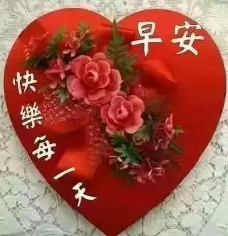 适合清早发圈的早上好漂亮图片适合早上群发的早上好问候语录最新版