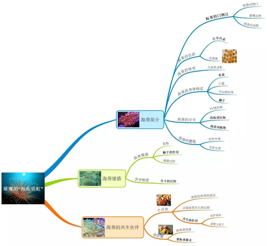 将科普文章变成思维导图活动第三期