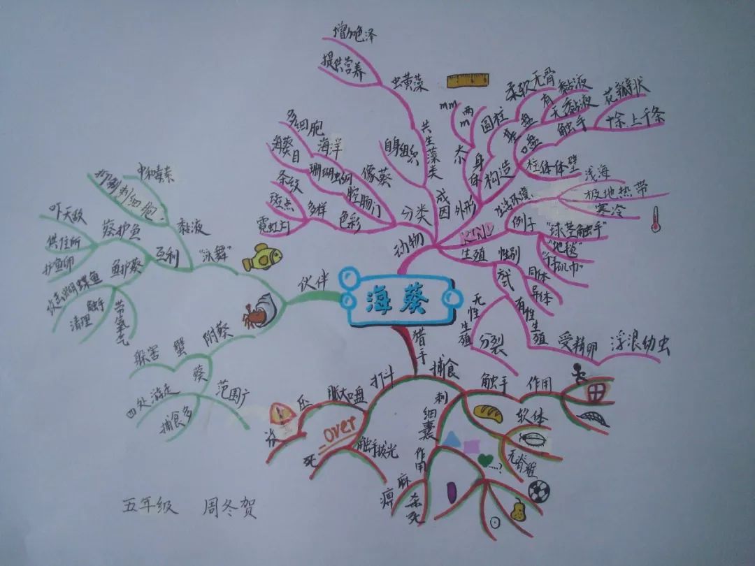 将科普文章变成思维导图活动第三期沙漠隐藏在荒凉外表下的宝库一起