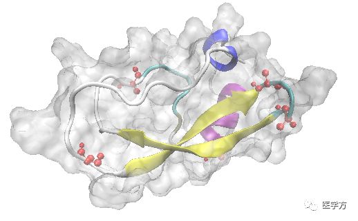 蛋白三维结构图图片