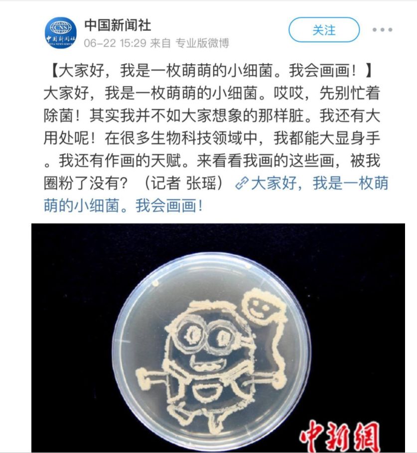 我校学子创意细菌画吸引众多媒体关注