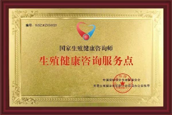红山区健康咨询指南：从亚健康调理到膳食营养，德静健康咨询陪你找回好状态