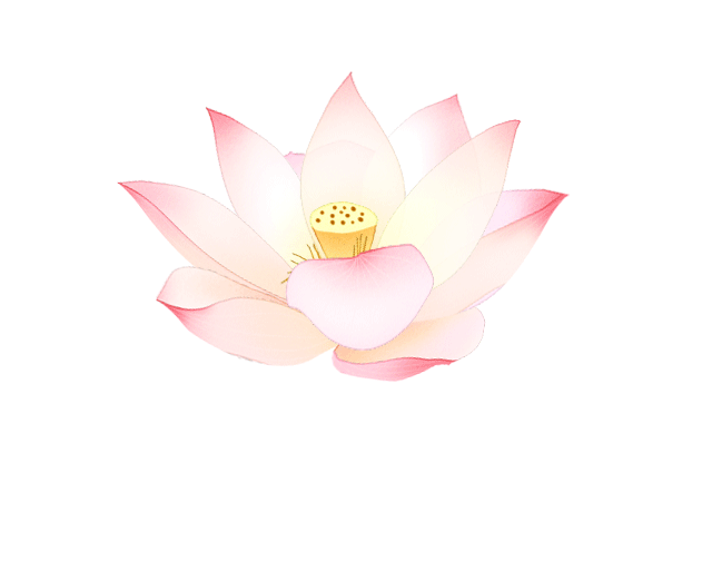 甚是美丽从2018年2月份开始莲花公园内的荷花池一度"漏水",池泥干涸