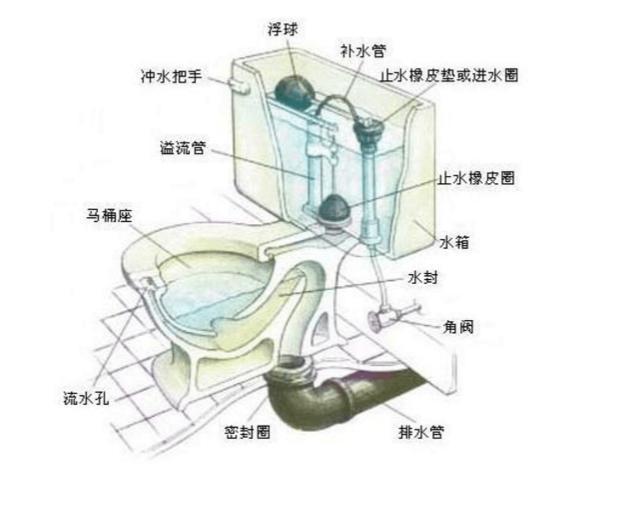 马桶上面的两个冲水按钮,平时你按的时候会有什么讲究吗?_按键