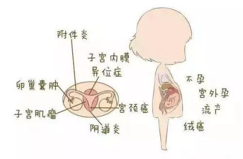 来自搜狐网