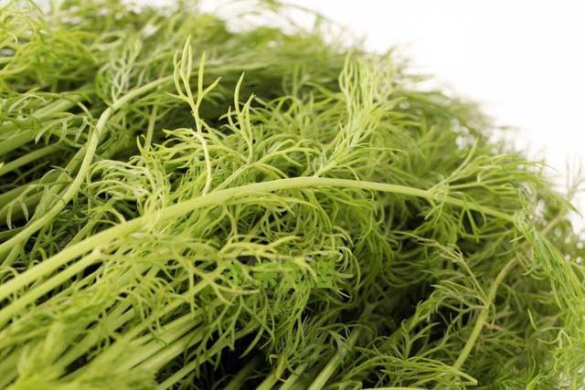 原创胃不好怎么办?只要记住这道菜,养胃护胃它都行,身体越吃越健康