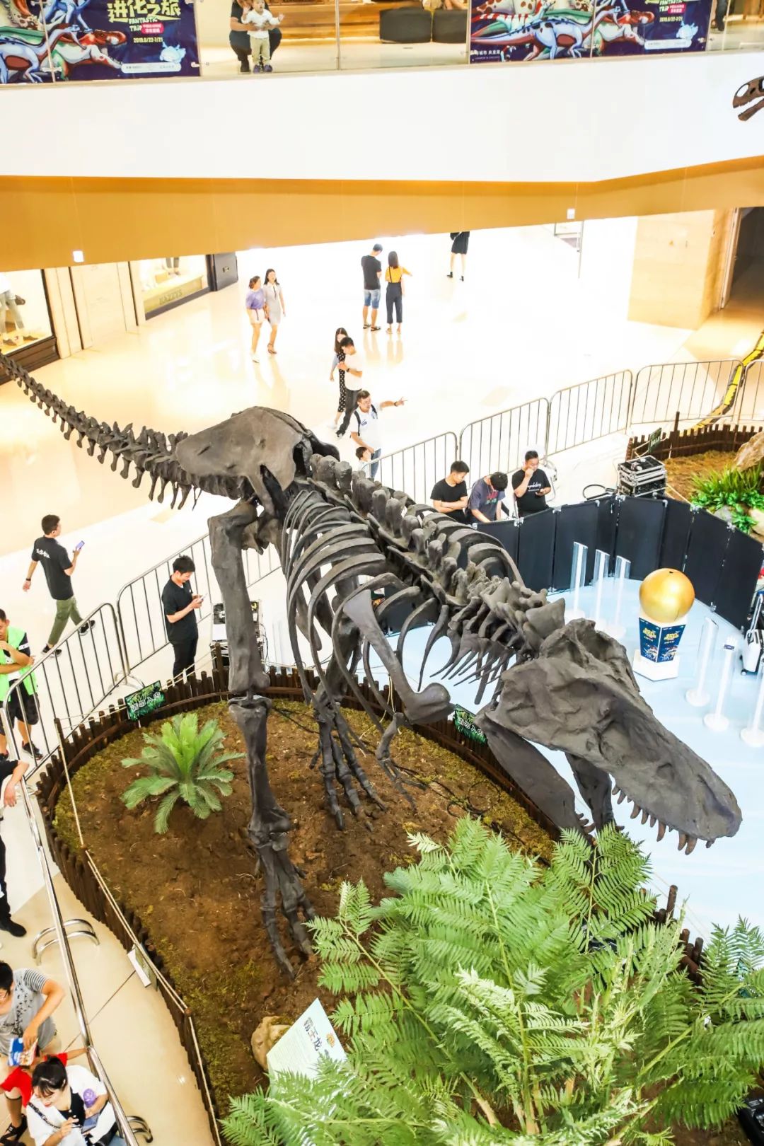 穿越侏罗纪杭州首个大型古动物化石展来袭还能住进恐龙主题房一秒入戏