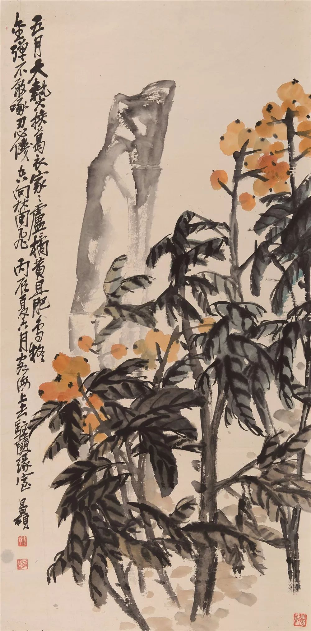 吴昌硕画枇杷,酸甜可口!