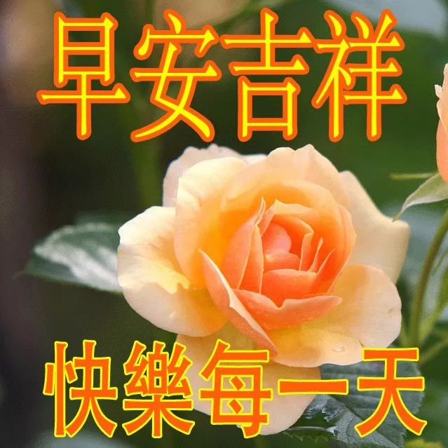 2019早上好表情圖片大全夏季祝福語圖片