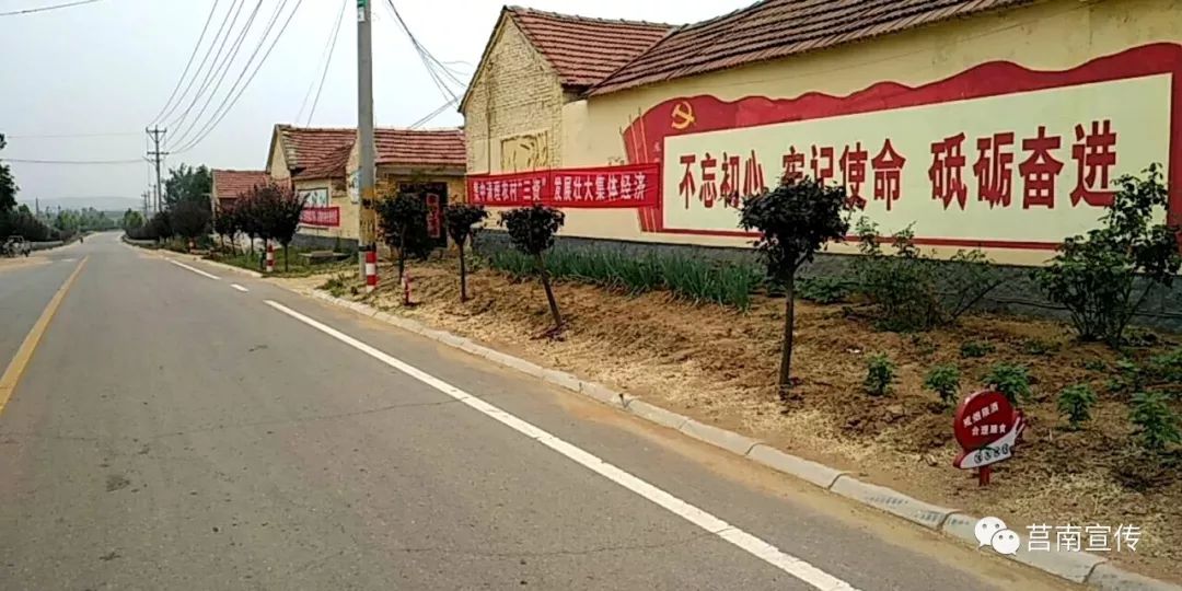 文疃镇村党组织书记选配改革激活一池春水