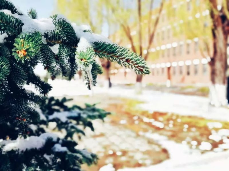 内蒙古师范大学塞罕图片