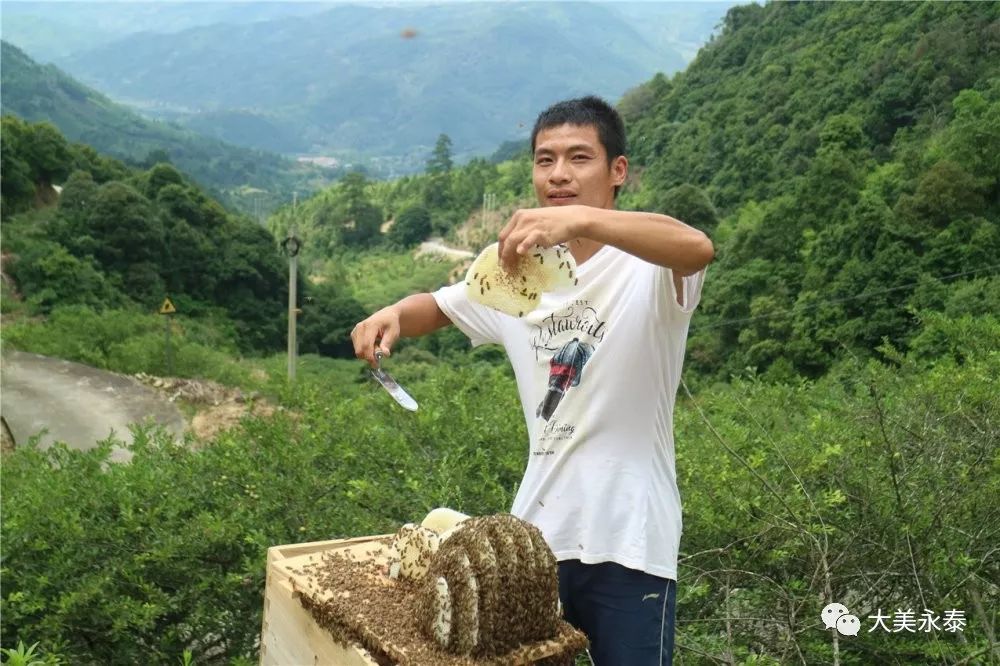 永泰县洑口乡吉坑村图片