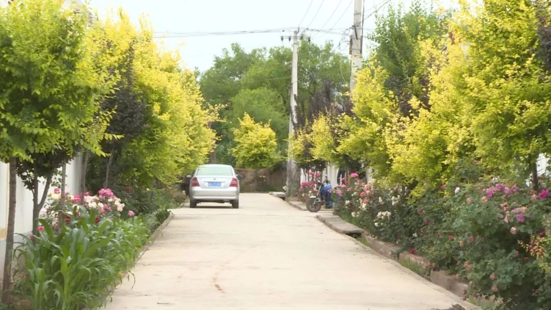 城乡环境综合整治盐锅峡镇盐集村滨河小村旧貌换新颜
