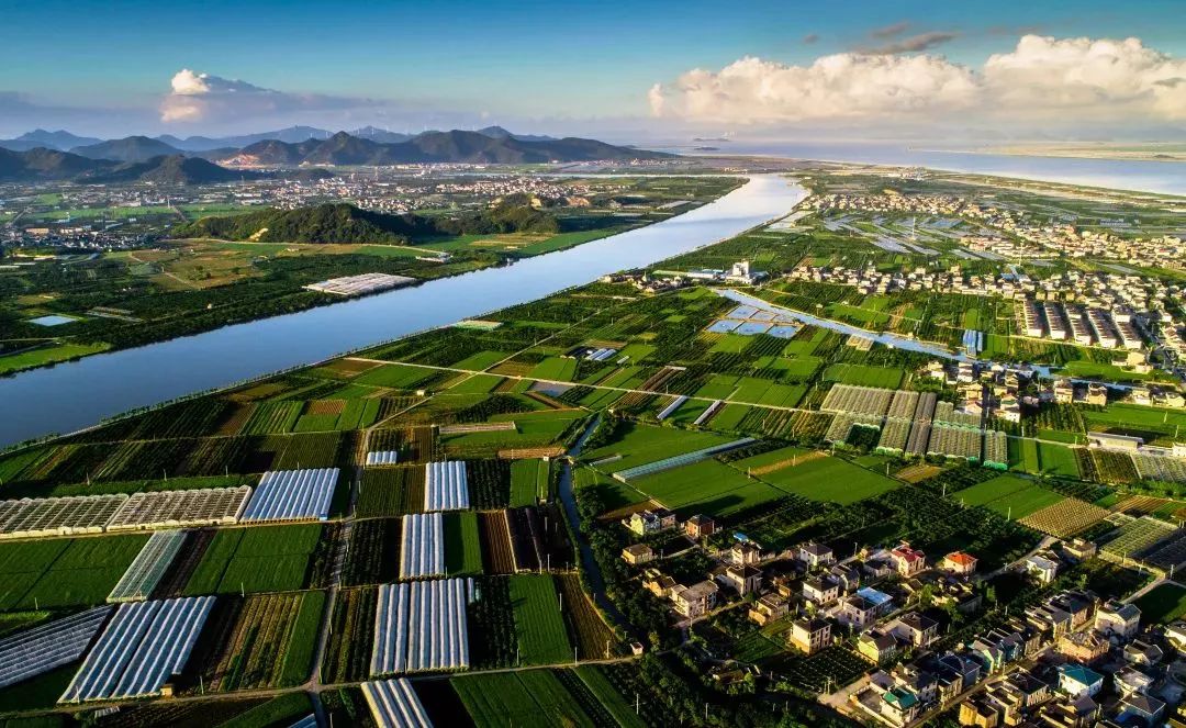 明天将有大批象山人往大塘赶……大塘怎么了?