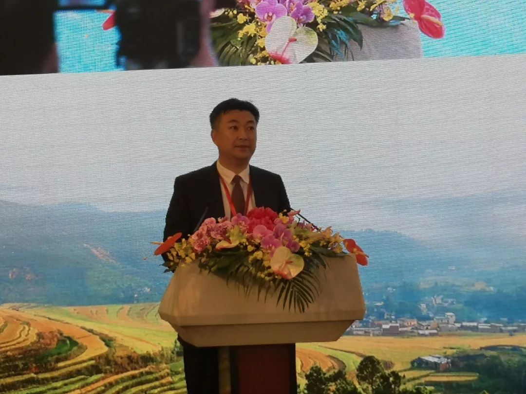 首发丨大埔成为世界第八个世界长寿乡