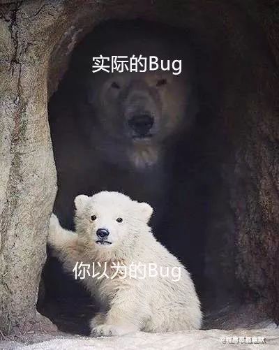 你以为的bugvs实际的bug