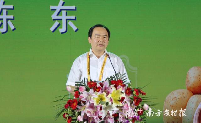 陈东在会上提出广东薯业五点发展建议,一是大力发展冬种薯业,与北方