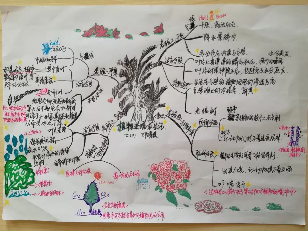 将科普文章变成思维导图活动第三期沙漠隐藏在荒凉外表下的宝库一起