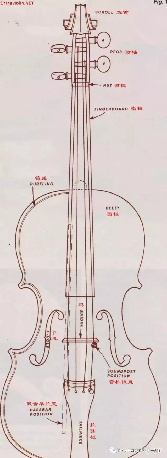 小提琴各部分名称图片图片