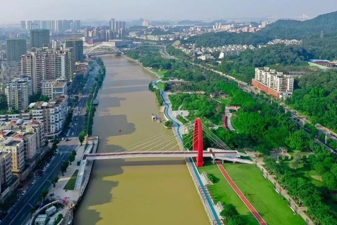 釜山人行天桥正式启动!直达白水带公园!_江门