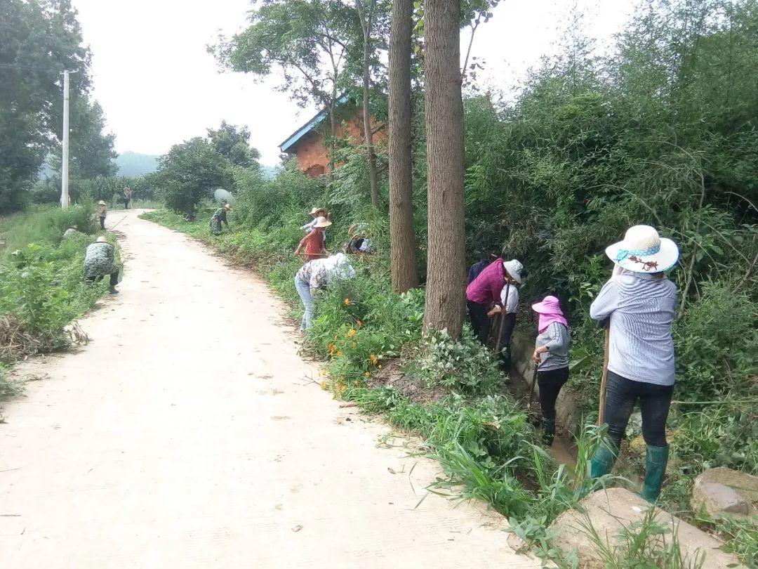 為勤勞樸實的泉河村人民點贊