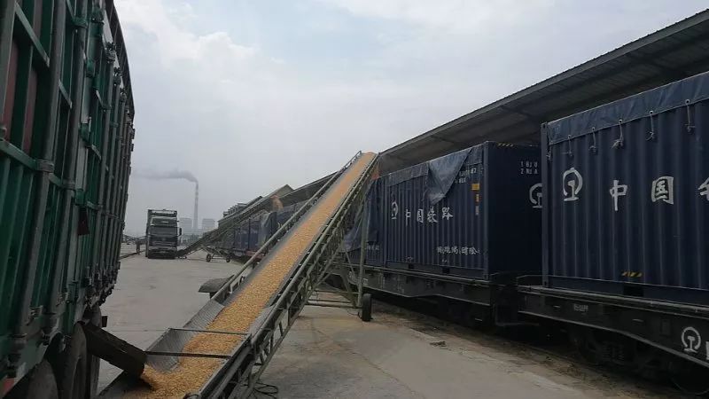 箱金灿灿的玉米通过粮食输送带乌兰浩特北站装车现场一派繁忙景象中