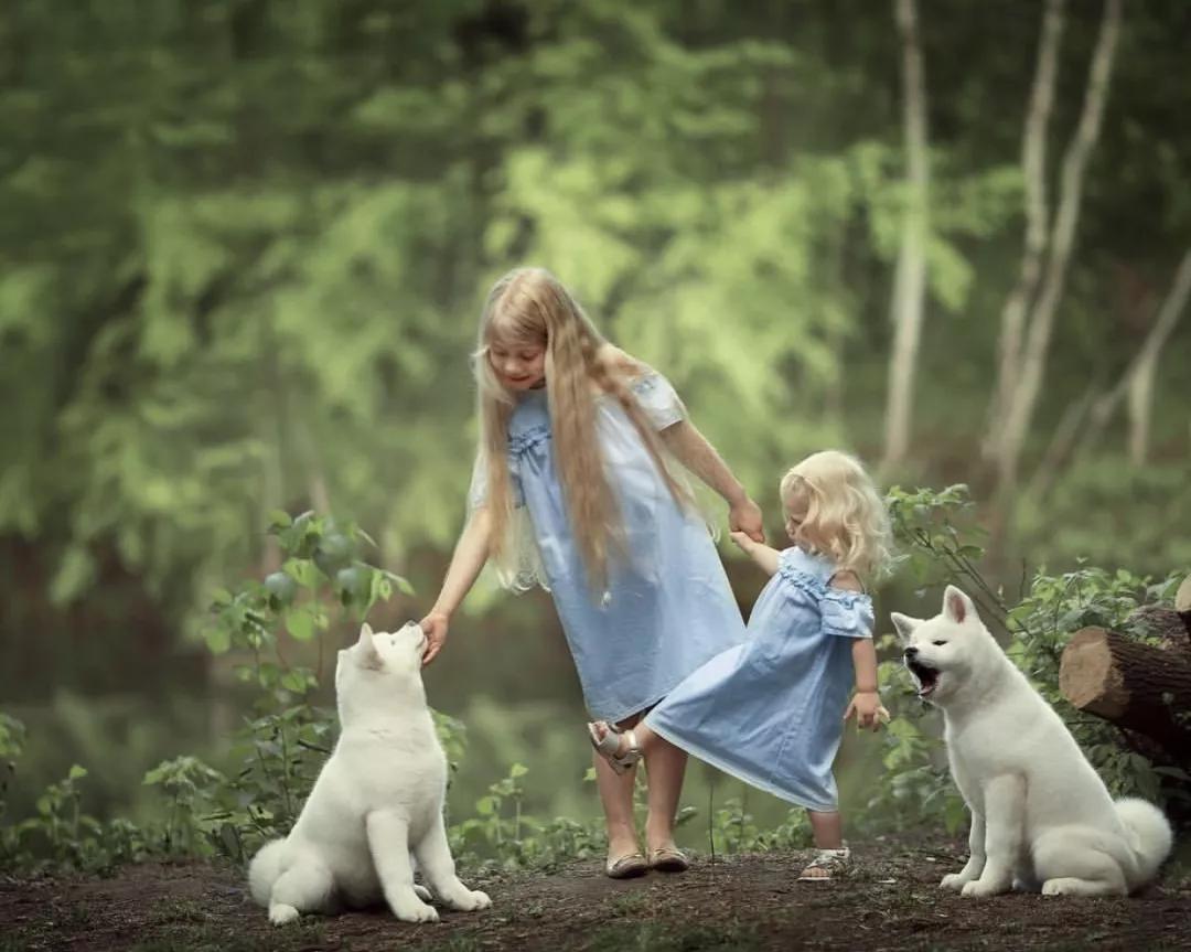 他拍出了世上最暖心的瞬间看完整个人都被治愈了