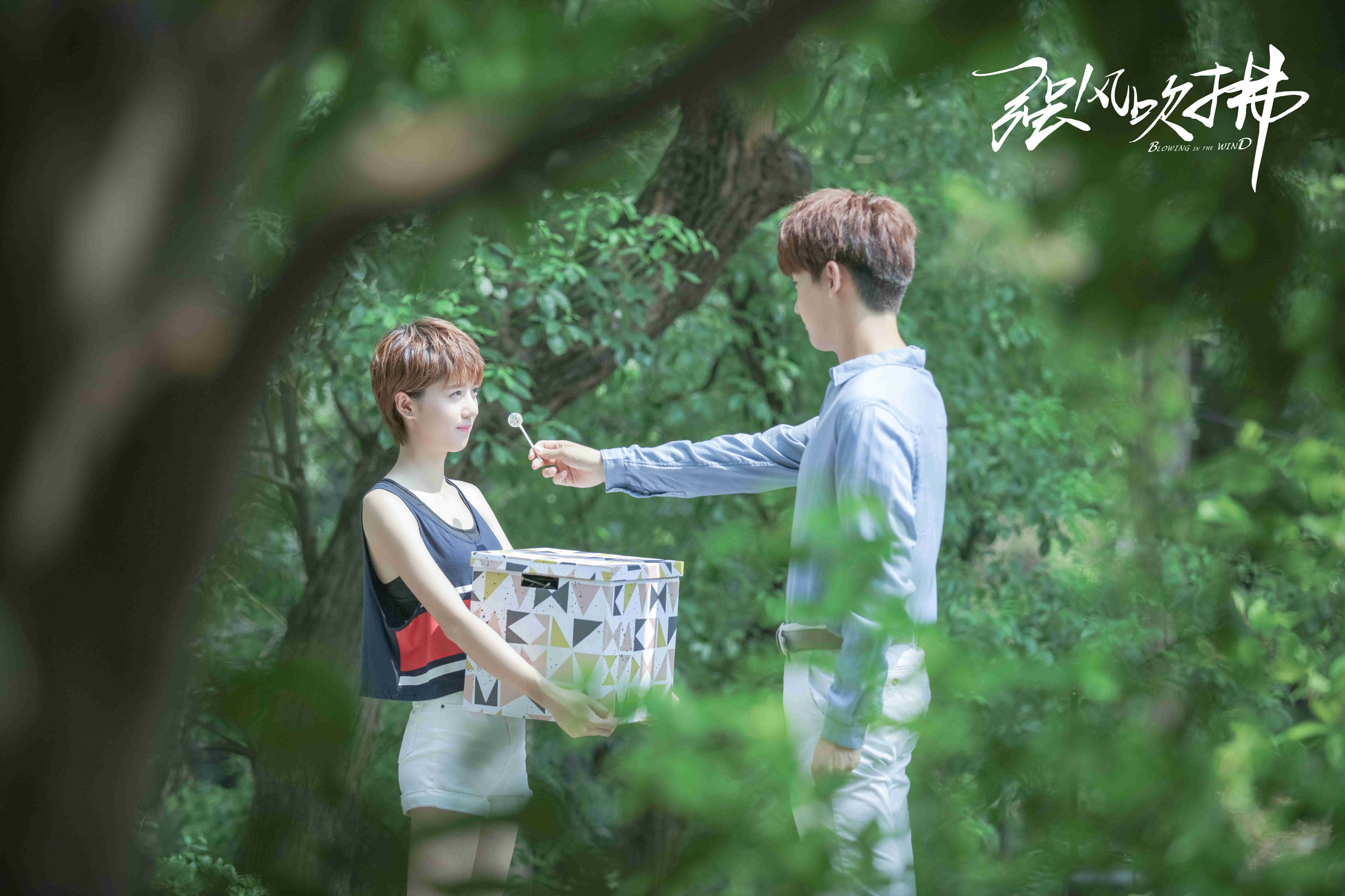 电视剧强风吹拂完美收官李凯馨自然演技收获众多好评