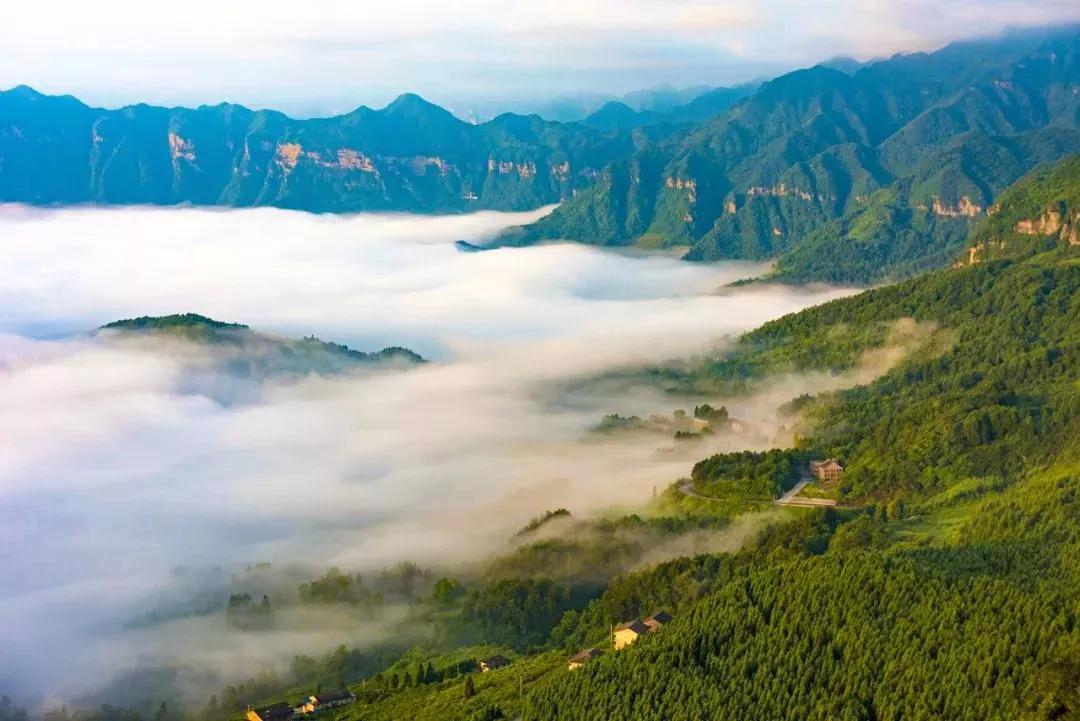 金佛山户外运动季世遗美景金佛山夏季旅游来南川