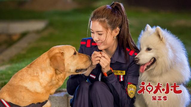 暑期与你相约神犬小七3看专业的搜救犬是如何炼成的