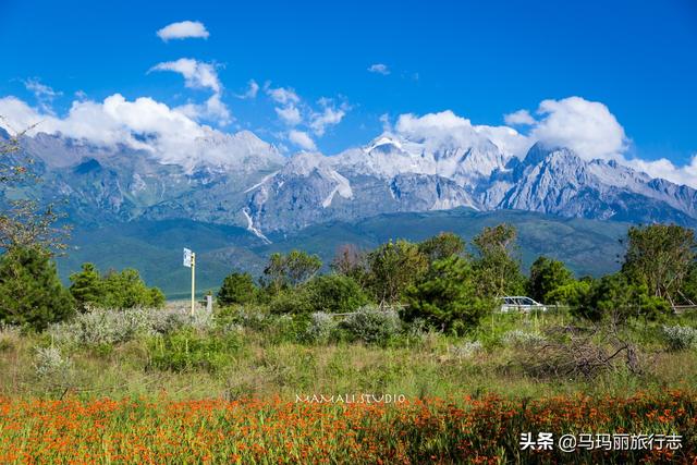 全民熱遺 | 探秘東巴秘境玉龍雪山大峽谷,看麗江最美高原神山