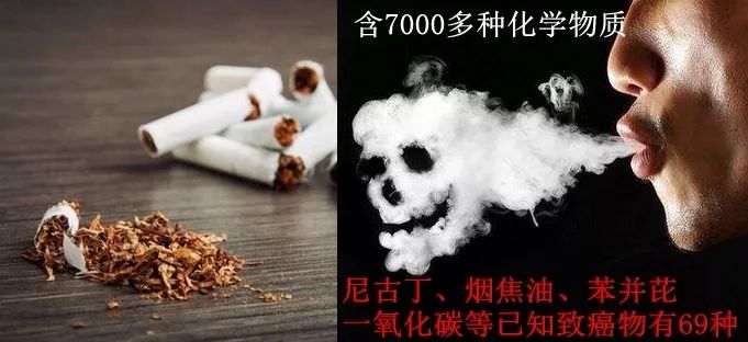 而烟焦油则是伤害肺的罪魁祸首烟雾中的一氧化碳可使人体缺氧足以让