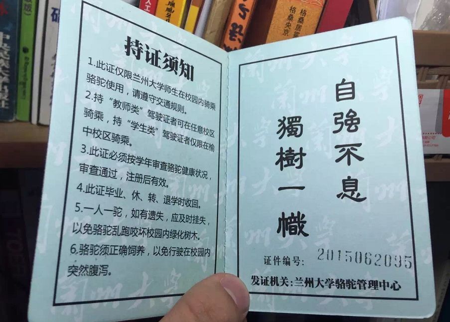 骆驼驾驶证和我啥关系
