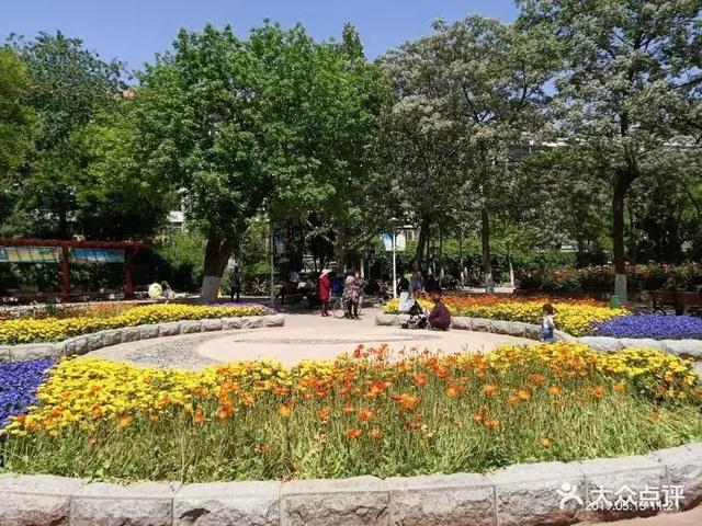 土山公园,这个名字淳朴的小公园假山,游乐场虽然是夏天也可以玩上一