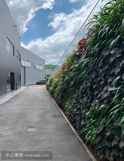 工厂外墙植物墙 惊艳的生态景观