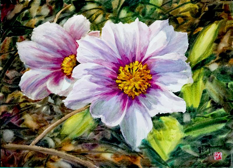 当代实力派画家杨乾钊水彩作品欣赏