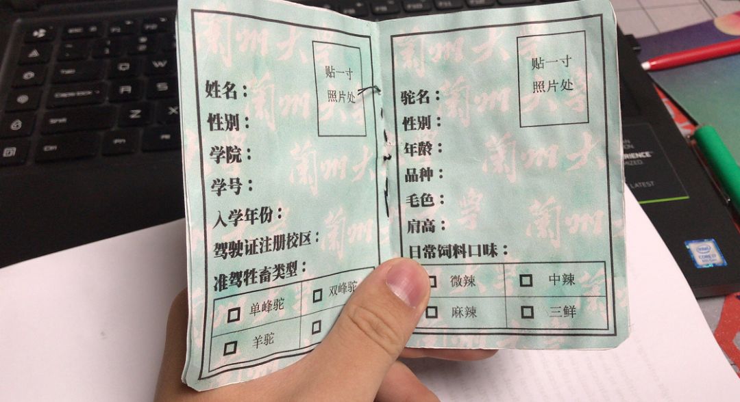 骆驼驾驶证和我啥关系