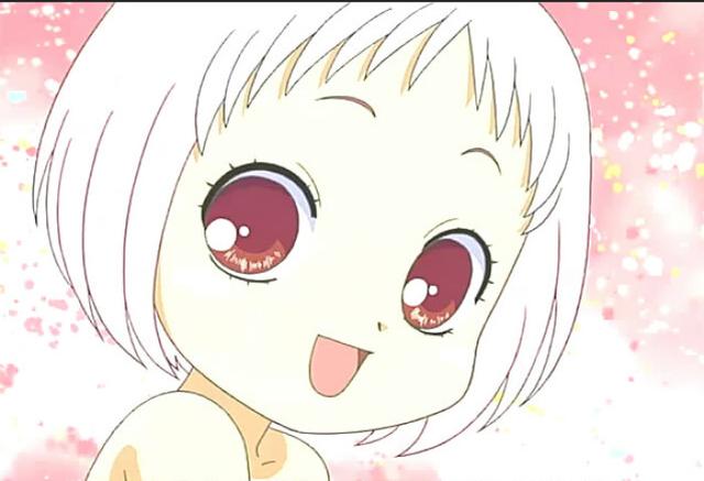 原创生存在同一个地球!请感受下《热带雨林的爆笑生活》