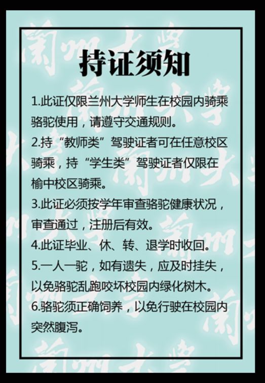 骆驼驾驶证和我啥关系