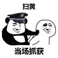 网络警察表情包图片