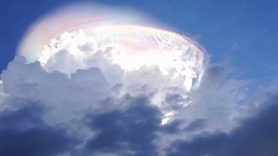 云船/ 光飞船 _cobra