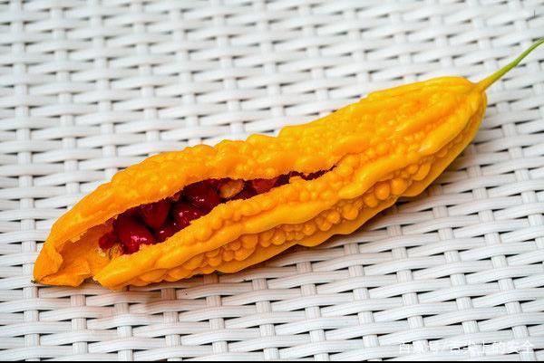 食用|为什么我们不等苦瓜变甜了再吃？