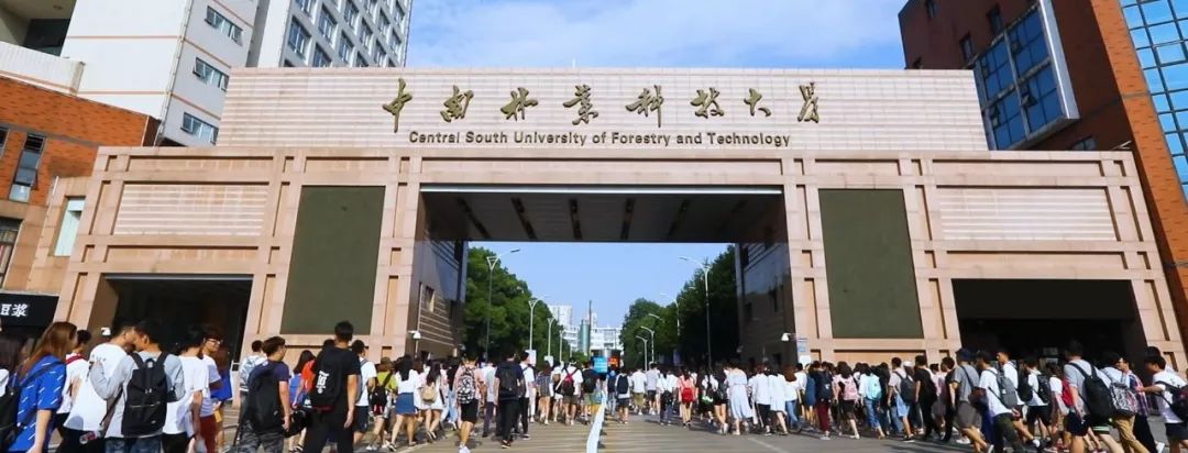 想報考中南林業科技大學看這篇文章就夠了