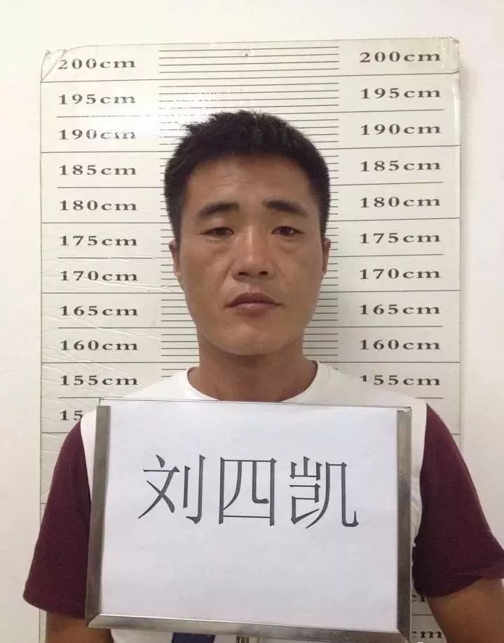 违法犯罪线索征集