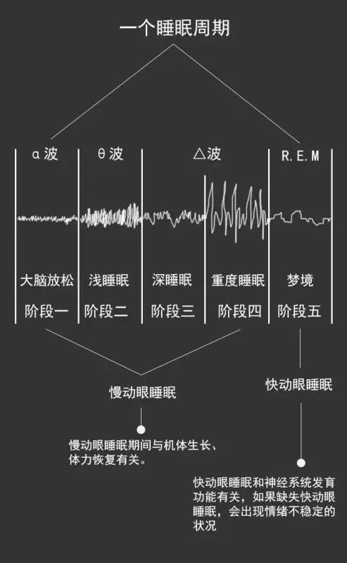 今天全世界最忙的人#到底是谁?_睡眠